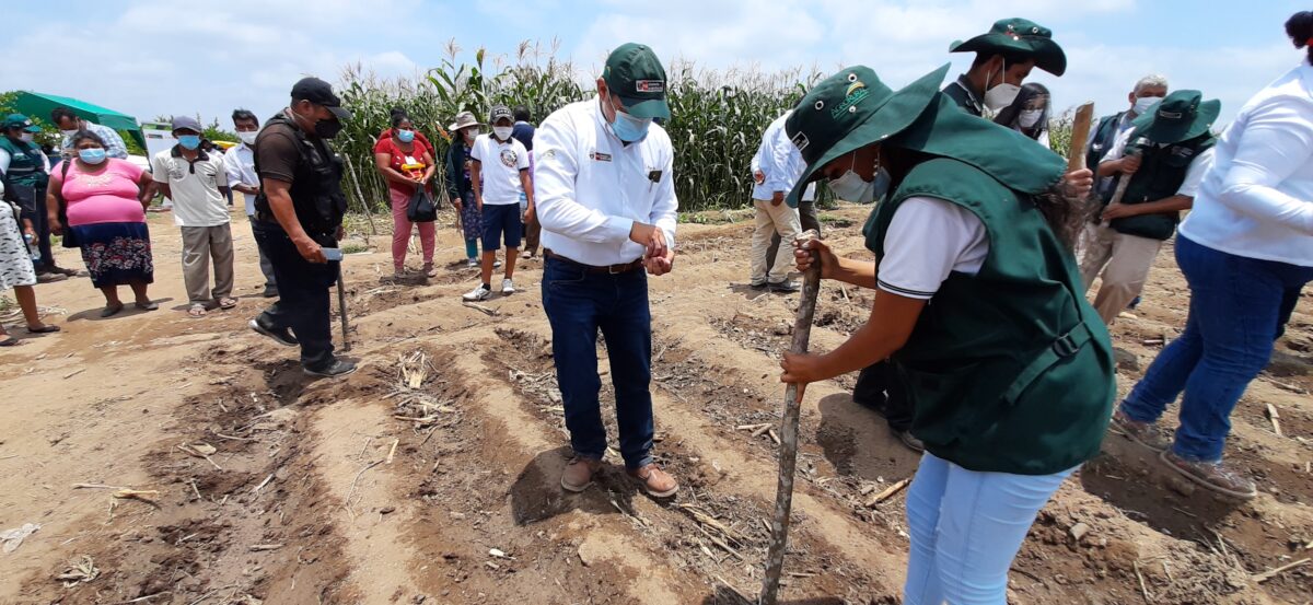 Lanzan campaña de siembra y forraje para 935 hectáreas