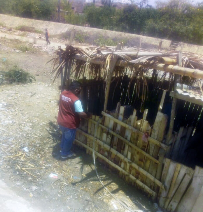 Moradores piden erradicar chancherías en San Jacinto