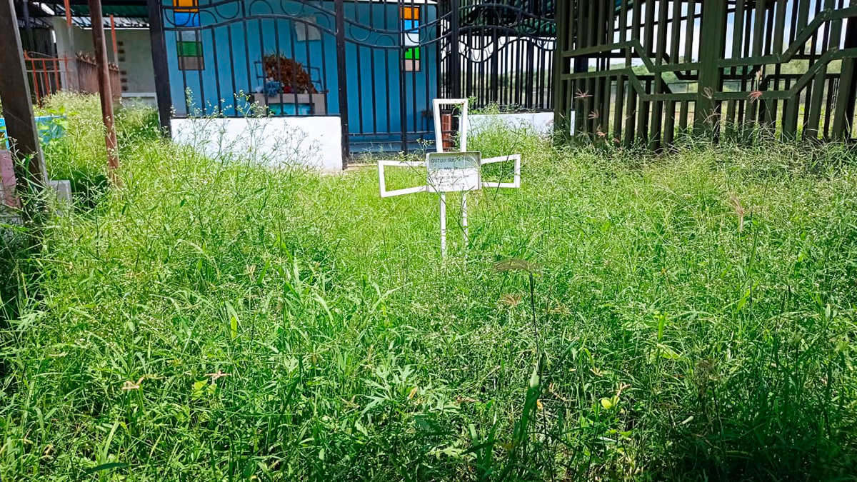 San Jacinto: Lleno de maleza se encuentra el cementerio de Vaquería