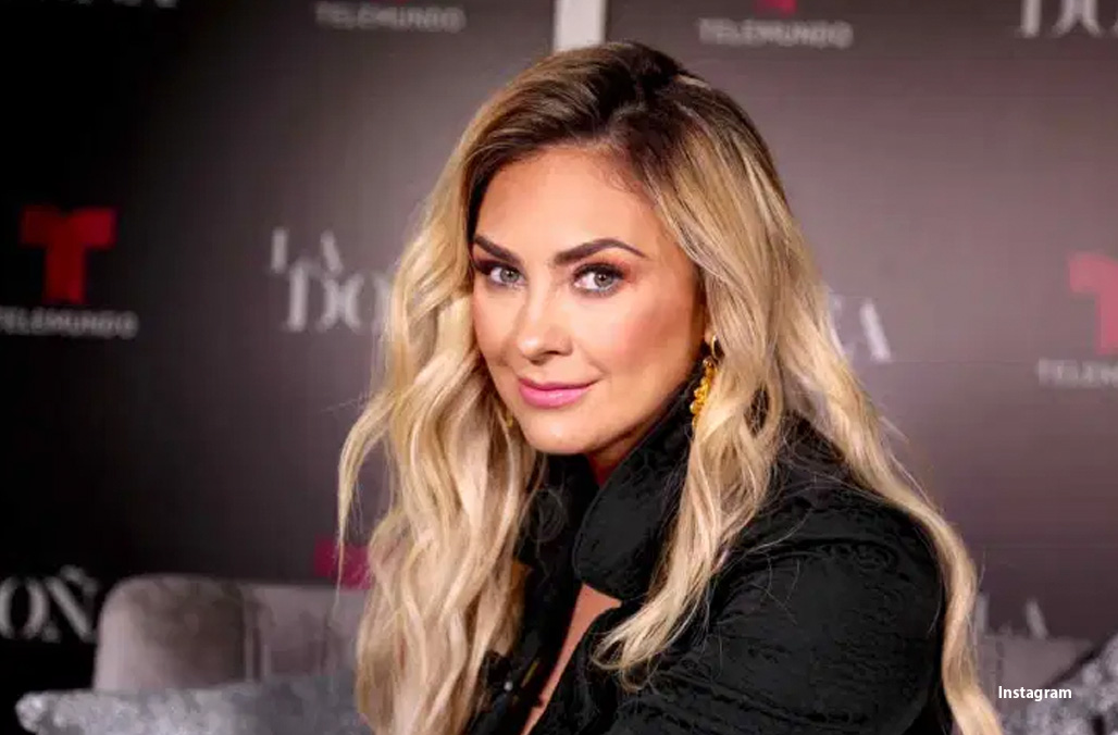 Aracely Arámbula confirma que no aparecerá en la serie sobre Luis Miguel