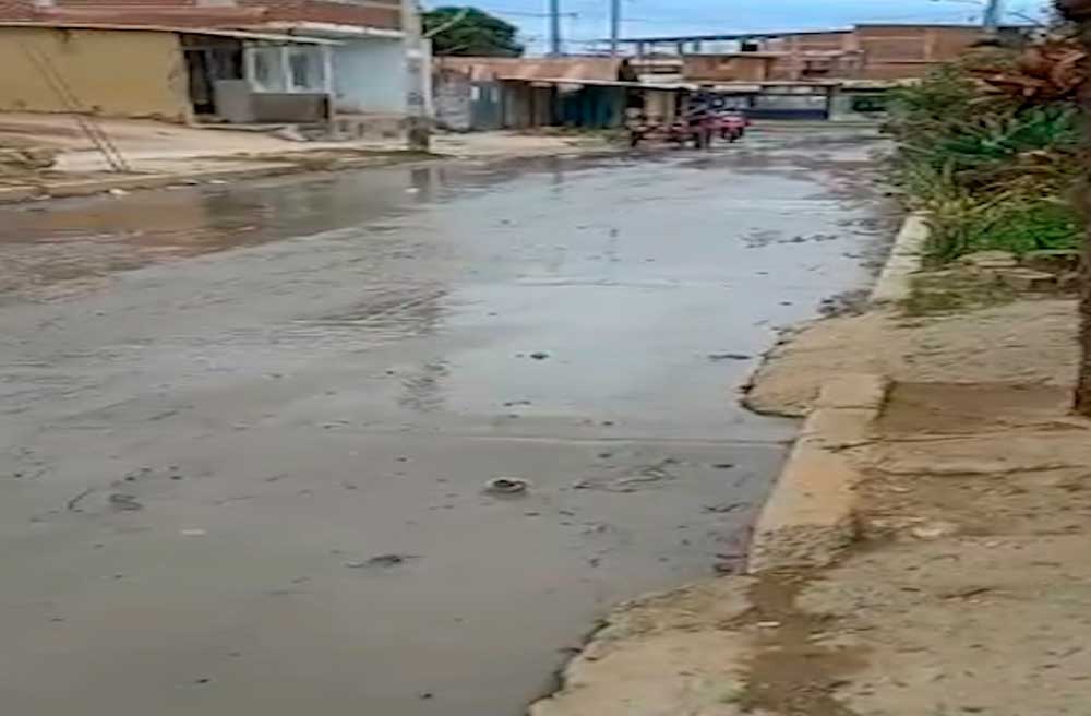 Vecinos ya no aguantan pestilencia desagües que inundan la calle
