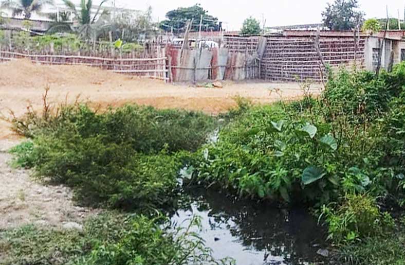 Vecinos se quejan por colapso de desagüe hace dos semanas