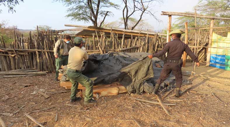 Policía decomisa un centro de acopio de piezas forestales