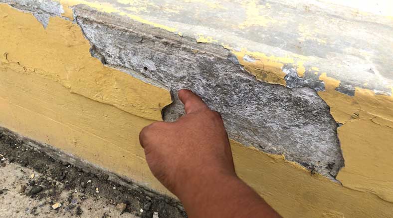 fotos_septiembre_2021