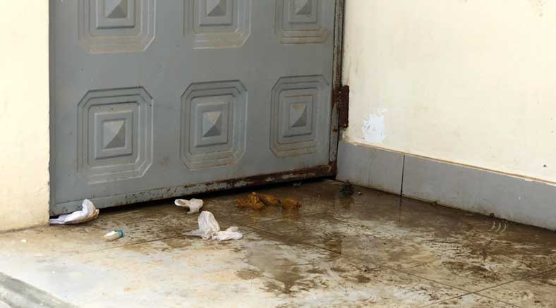 fotos_septiembre_2021