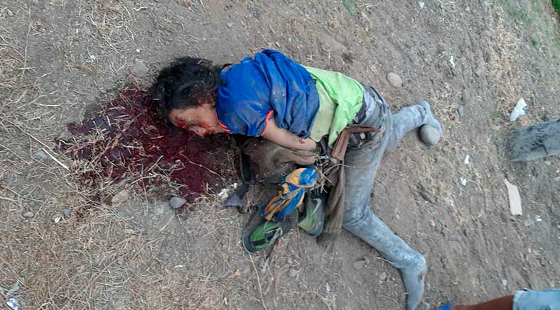 Colombiano muere arrollado por vehículo en la Panamericana