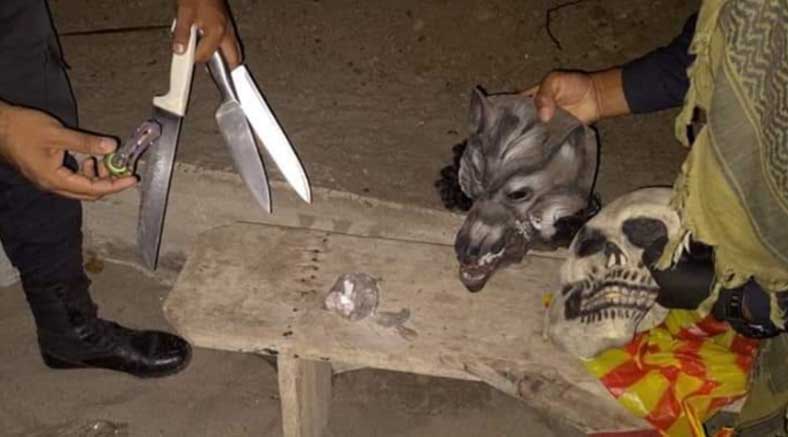 Perro frustró asalto en hotel de Zorritos