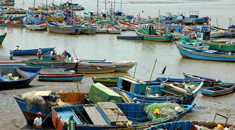 Pescadores artesanales requieren del apoyo de las autoridades