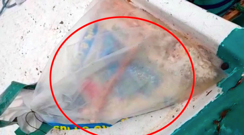 Buzo encuentra parte de una pierna humana en altamar