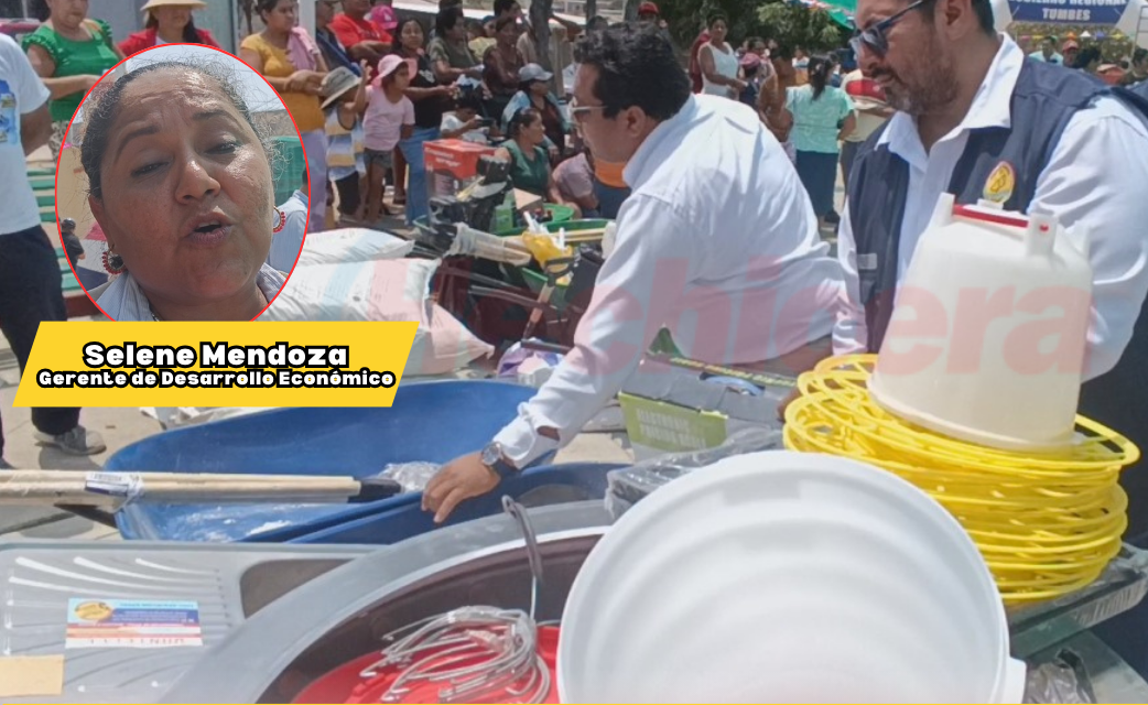 OBSERVACIONES EN EL MATERIAL ENTREGADO EN EL PROGRAMA DE PROCOMPITE