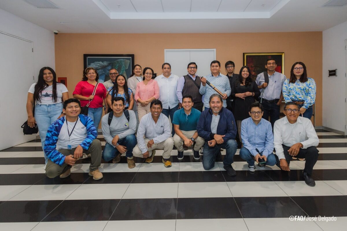 FAO capacita a cinco empresas langostineras de Tumbes en el uso de sensores de calidad del agua y bioseguridad con uso de inteligencia artificial