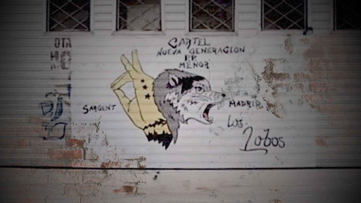 ALERTA EN TUMBES: PRESENCIA DE LA BANDA CRIMINAL ECUATORIANA ‘LOS LOBOS’ GENERA PREOCUPACIÓN