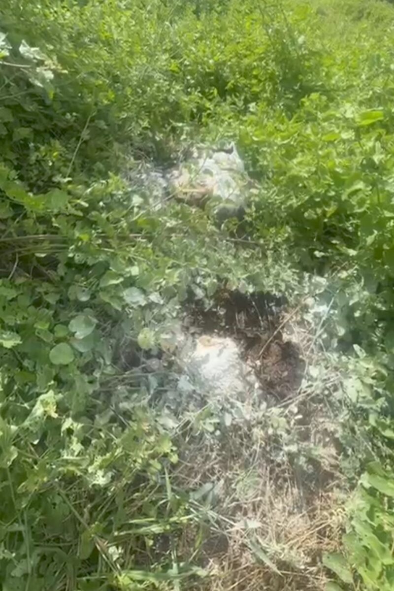 Hallan cadáver en estado de descomposición en la frontera