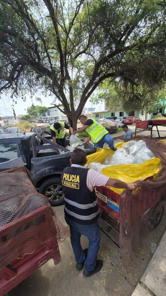 POLICÍA DECOMISÓ LARVA DE LANGOSTINO POR MÁS DE 38 MIL SOLES