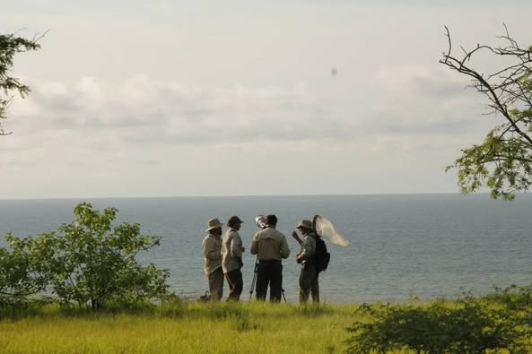 Realizarán jornada virtual sobre conservación de ecosistemas frente al cambio climático
