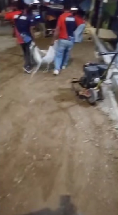 Mototaxistas de Tumbes asumen reparación de la calle Diego de Almagro ante inacción municipal