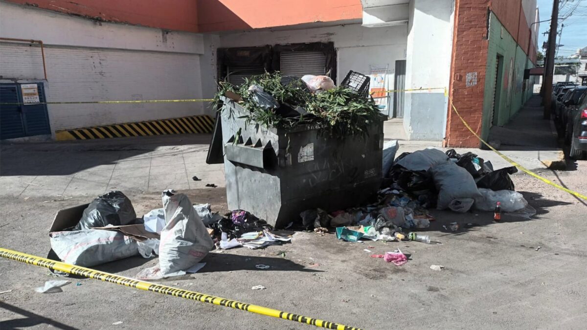 ENCUENTRAN FETO ENTRE LA BASURA EN CALLES PRINCIPALES DE ANDRÉS ARAUJO
