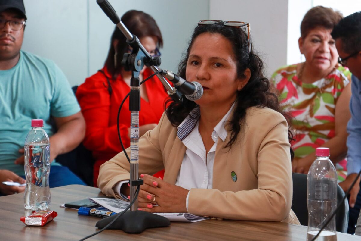 Gore Tumbes contrató a coordinadores y supervisores que incumplen requisitos para proyecto de salud