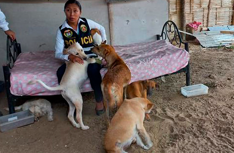 Policía crea albergue para animales abandonados y sin hogar