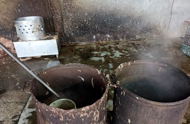 Clausuran avícolas por insalubridad en Tumbes