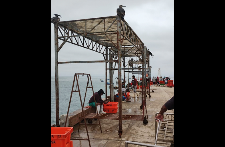 Pescadores artesanales continúan esperando construcción de desembarcadero