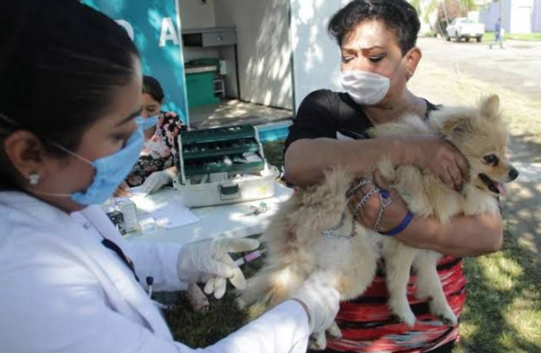 Animalistas realizan campaña de esterilización